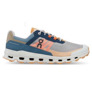 Men's On Running Cloudvista Trail Running Shoes Multicolor | PH_ON8759