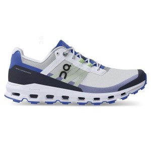 Men's On Running Cloudvista Trail Running Shoes Grey / Royal | PH_ON8980