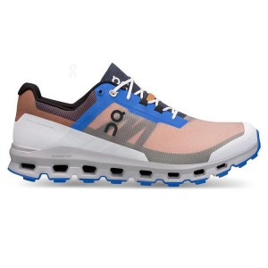 Men's On Running Cloudvista Trail Running Shoes Rose / Blue | PH_ON8158