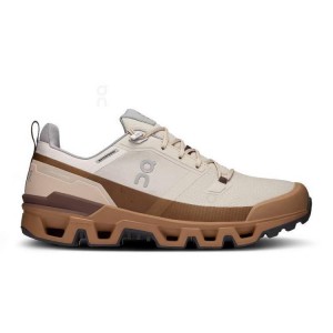 Men's On Running Cloudwander Waterproof Hiking Shoes Brown | PH_ON8004