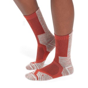 Men's On Running Explorer Merino Socks Orange | PH_ON8379