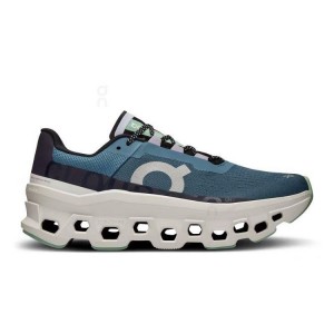 Women's On Running Cloudmonster Running Shoes Blue | PH_ON8330